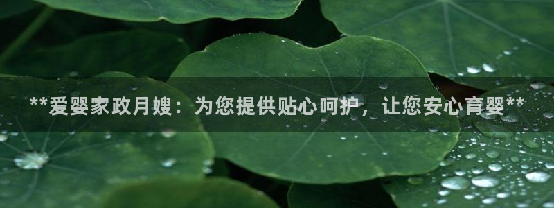杏悦平台代理多少钱
