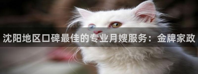 杏悦官网注册信息是什么