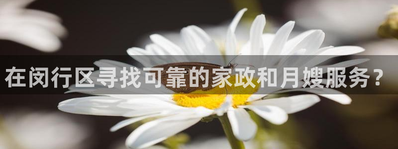 杏悦平台登录