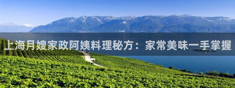 杏悦招商地址