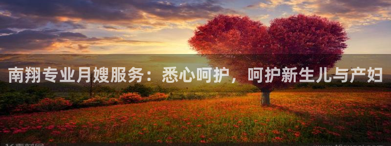 杏悦官网注册信息在哪里找