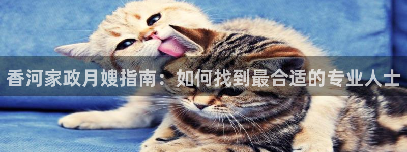 杏悦平台公司介绍