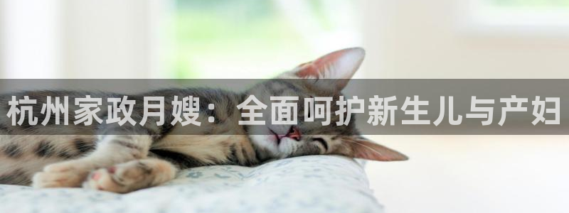 杏悦平台代理怎么做的