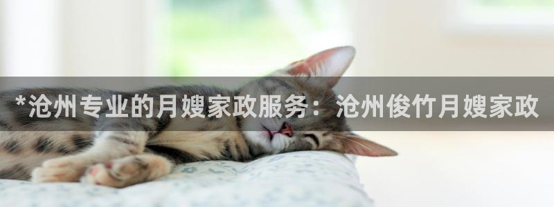 杏悦官方平台