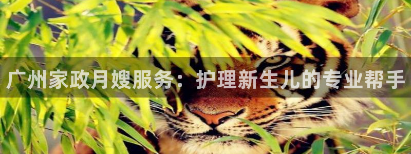 杏悦官网注册信息