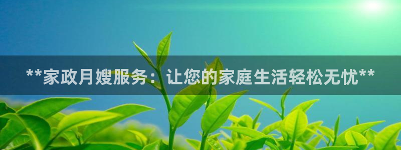 杏悦1招商地址