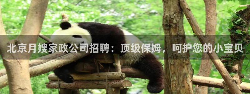 杏悦平台线路测速