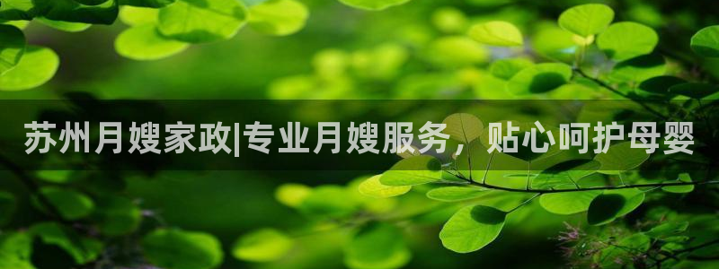 杏悦平台代理注册