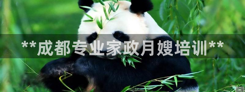 杏悦是什么