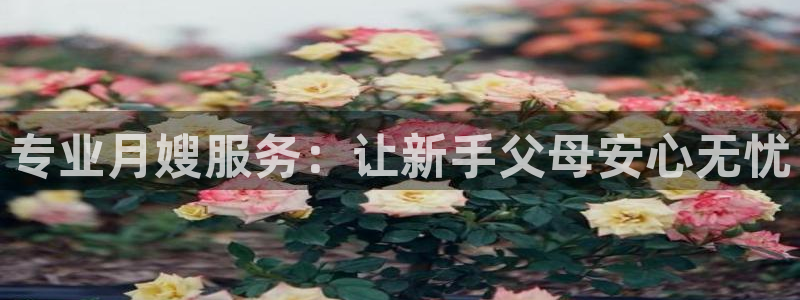 杏悦平台地址