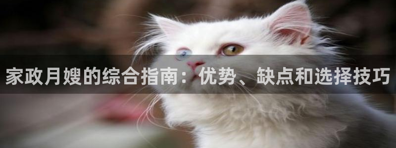 杏悦平台可靠吗是真的吗吗