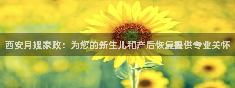 杏悦平台代理怎么赚钱的