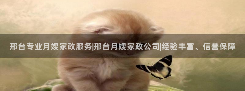 杏悦平台代理怎么做的