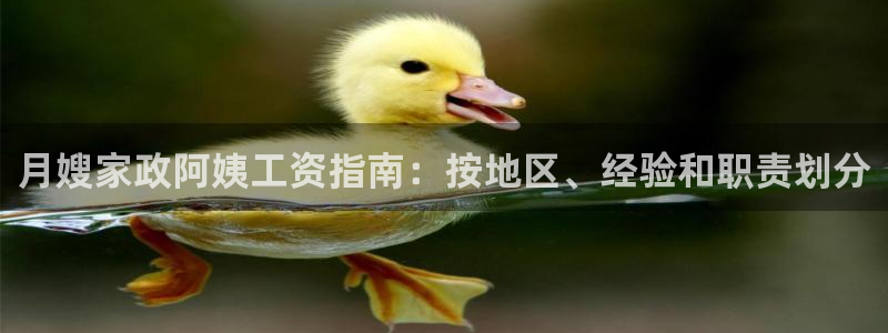 杏悦平台开户地址