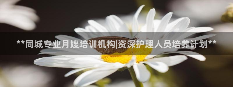 杏悦平台注册流程