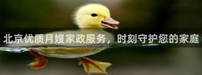杏悦官网