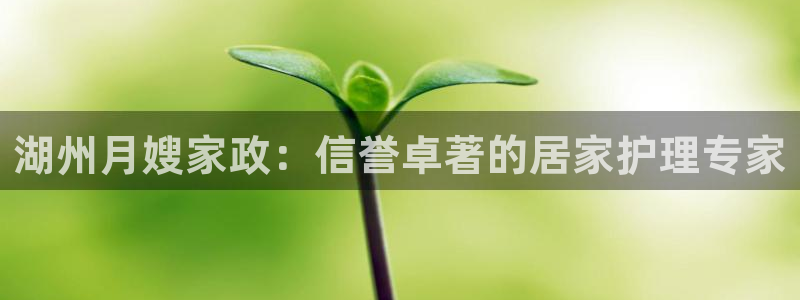 杏悦平台可靠吗可信吗安全吗