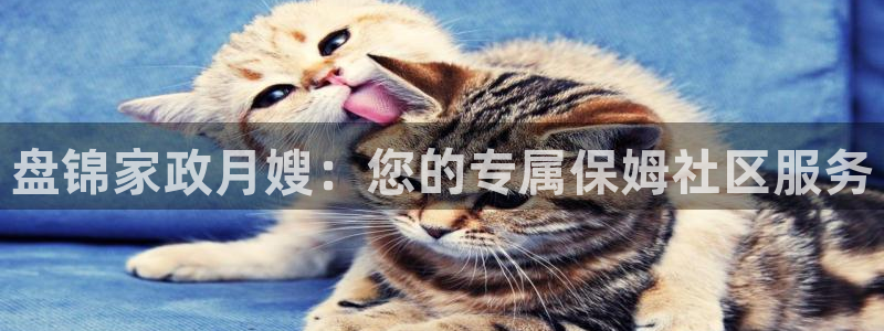 杏悦官方平台是正品吗
