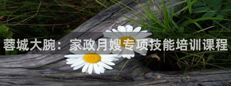 杏悦娱乐是什么