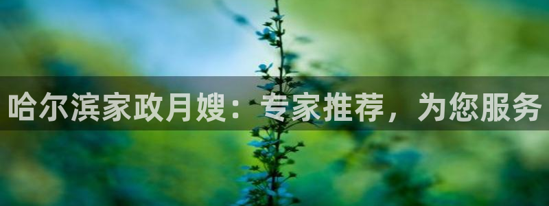 杏悦平台代理怎么样啊