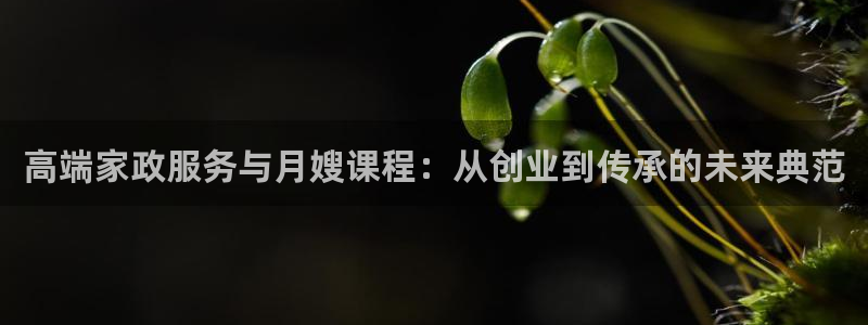 杏悦总代理