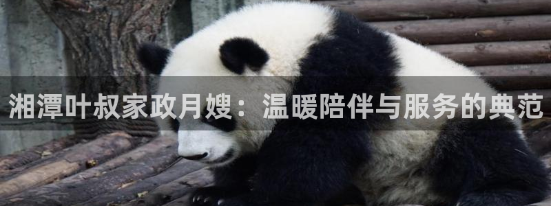 杏悦平台代理怎么做的
