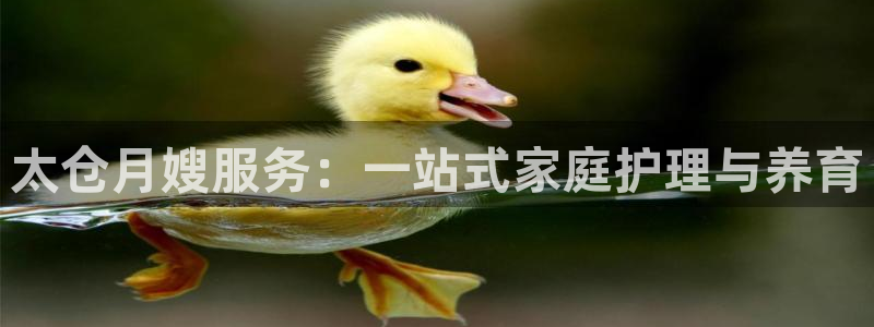 杏悦平台代理怎么赚钱