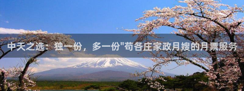 杏悦平台代理怎么做