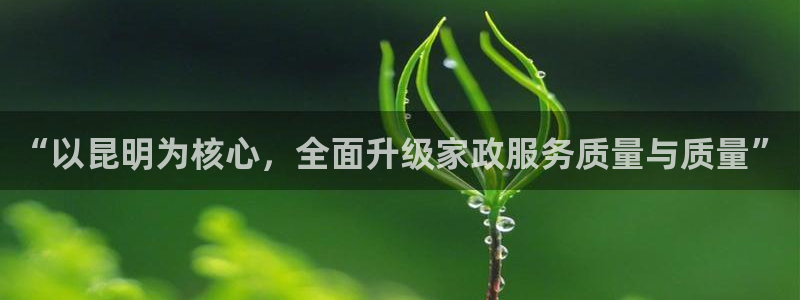 杏悦平台代理怎么赚钱快