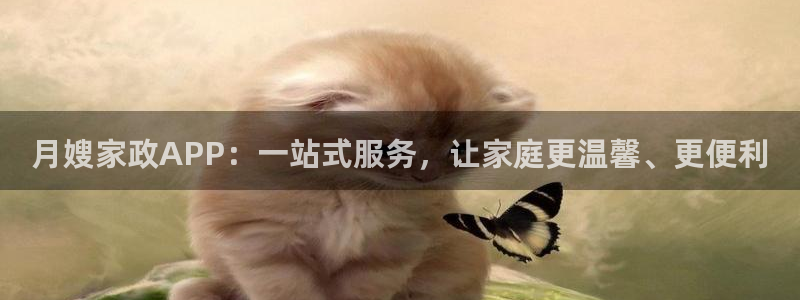 杏悦平台代理怎么做的