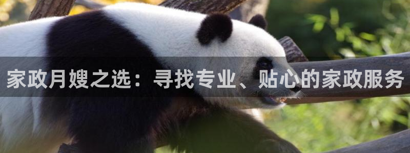 杏悦平台可靠吗可信吗