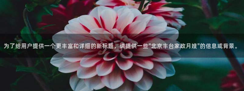 杏悦娱乐注册平台官网