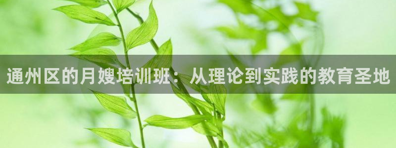 杏悦平台注册网址