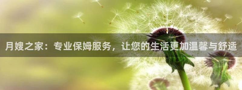 杏悦官网注册信息在哪里看