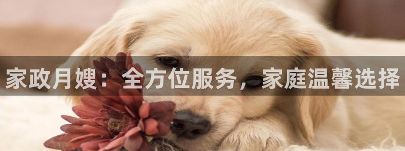 杏悦官网注册信息在哪里看