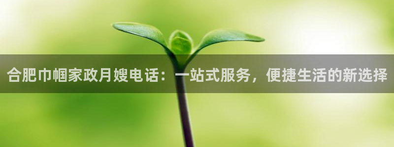 杏悦平台代理怎么样