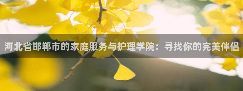 杏悦平台登录地址在哪里