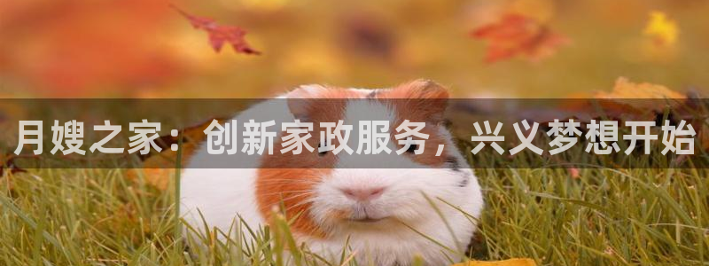 杏悦平台代理注册流程