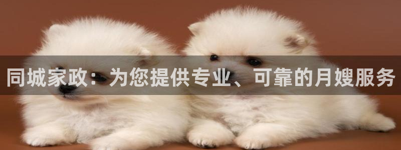 杏悦平台官网注册