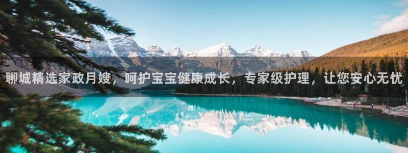 杏悦官网注册信息查询