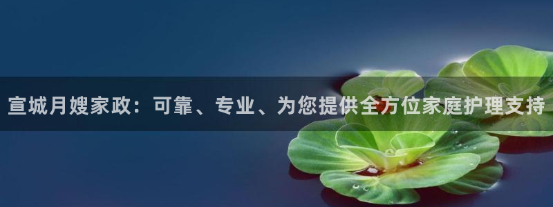 杏悦平台登录地址是什么