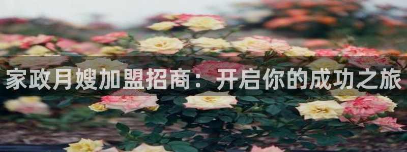 杏悦平台登录网址是什么