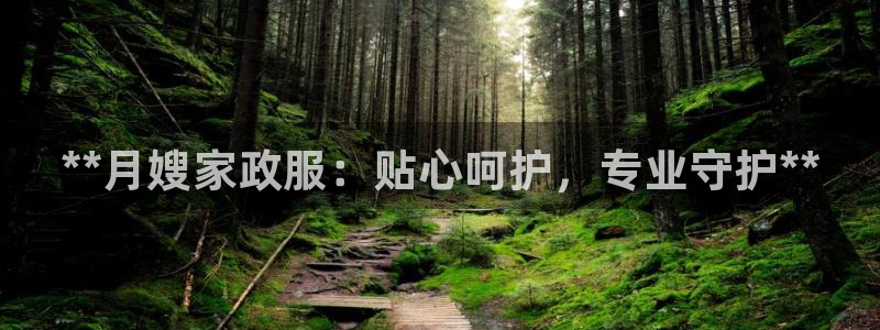 杏悦平台代理注册多少钱