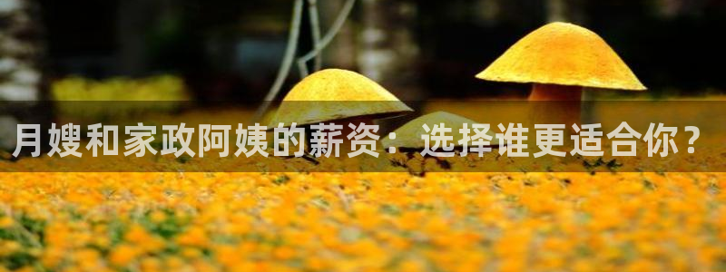 杏悦娱乐注册平台怎么样