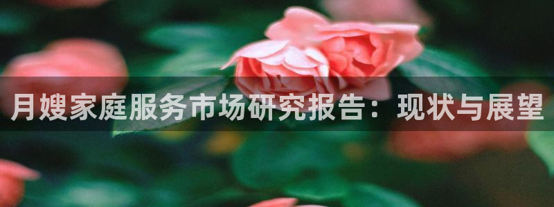 杏悦官网注册信息在哪里