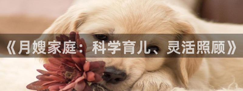 杏悦平台登录地址是什么