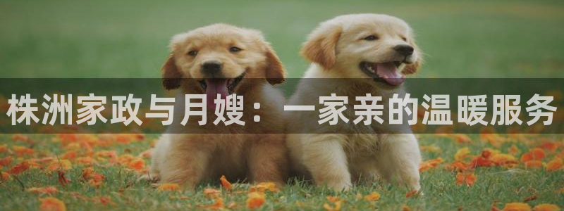 杏悦娱乐注册平台官网