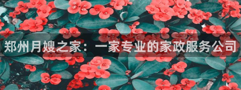 杏悦平台代理注册流程