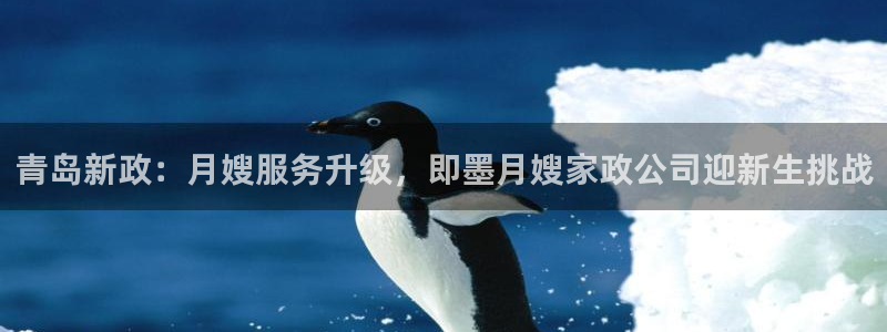 杏悦官网登录入口网址是什么