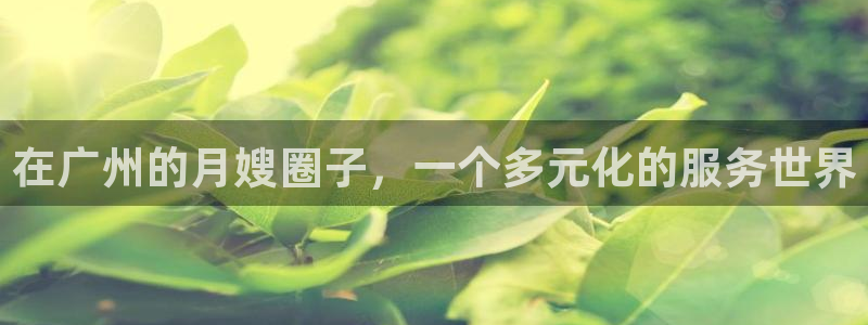 杏悦平台代理注册